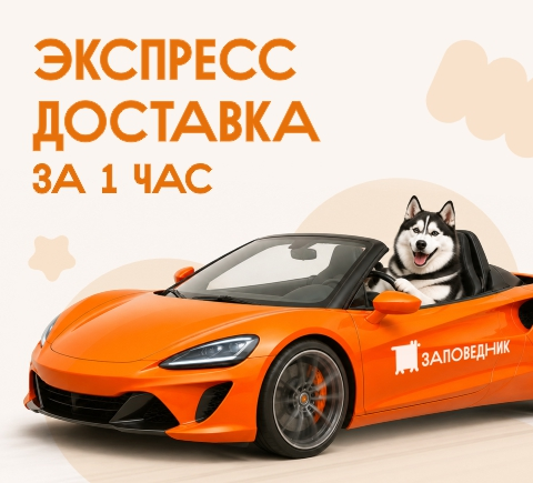 Баннер экспресс-доставки