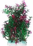 Растение для аквариума Уют Гамфрена зелено-фиолетовая 20 см