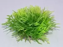 Растение искусственное Meijing YS-73607