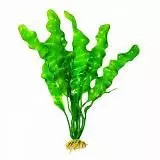 Растение Тритон пластик 23 см