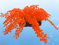 Коралл для аквариума Марлин YM-384А мягкий розовый силикон 9*5*12,5 см